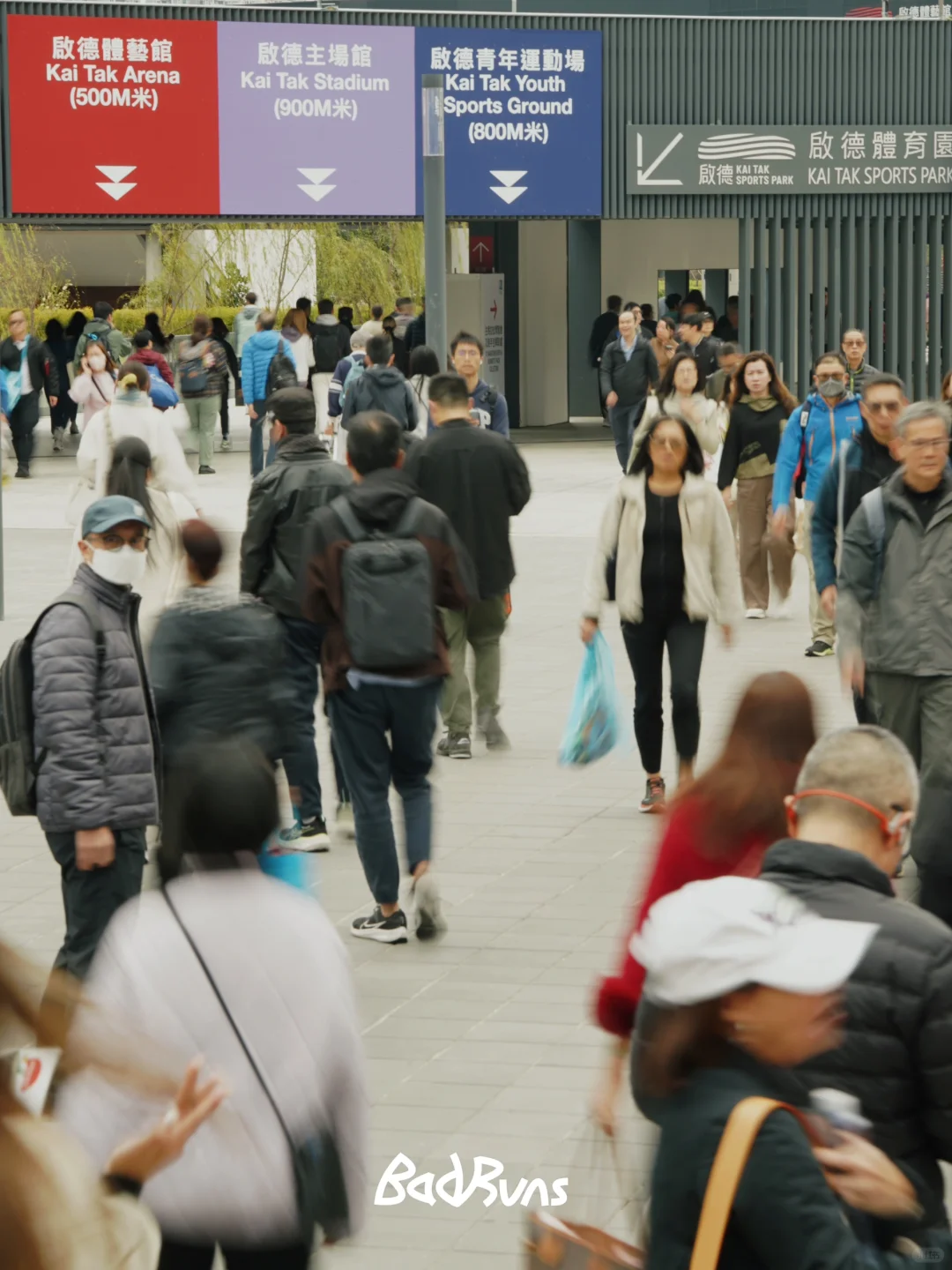 现场｜首届香港马拉松博览会亮点速览
