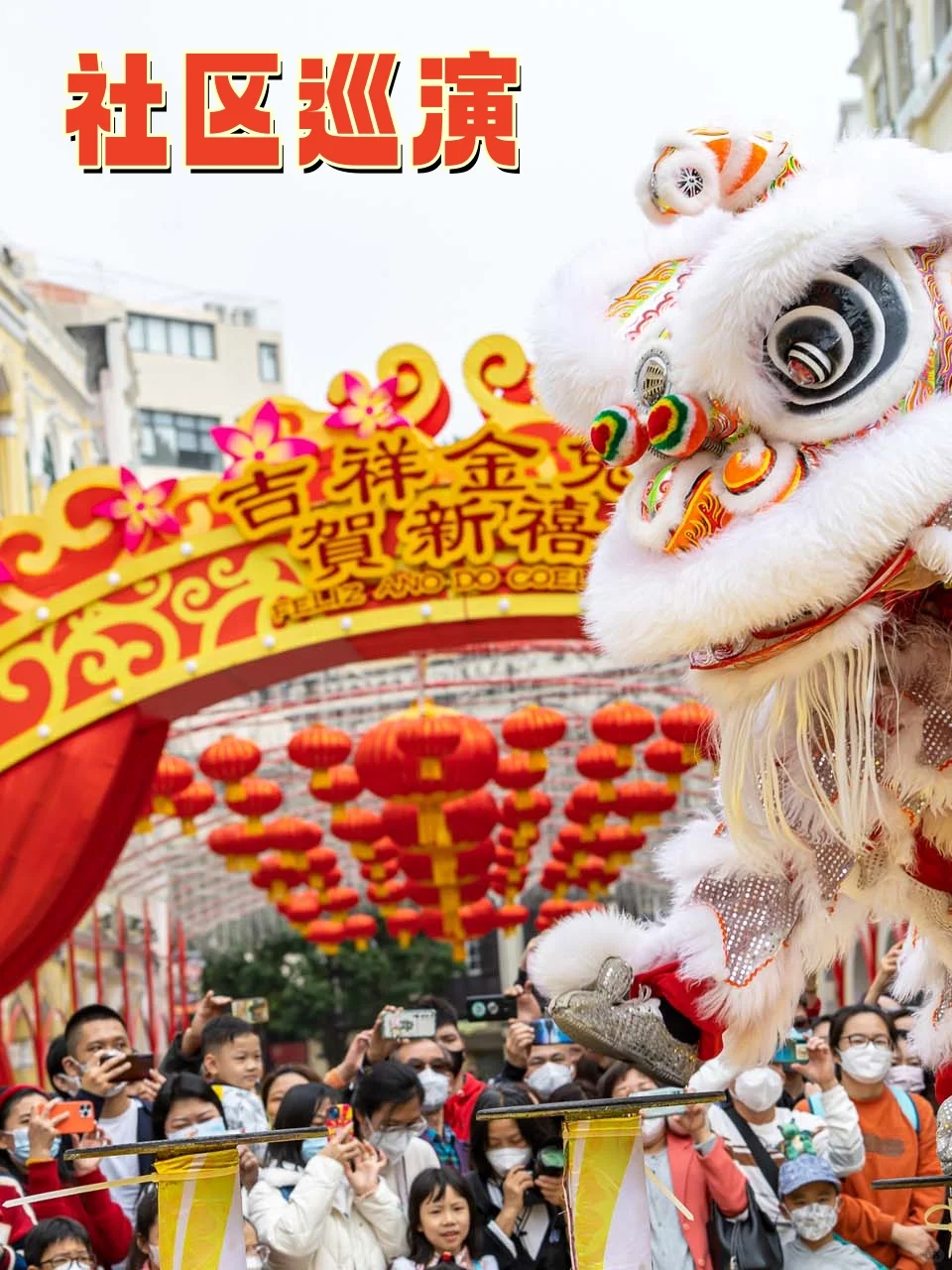 在澳门过春节该怎么玩❓1月活动汇总来了