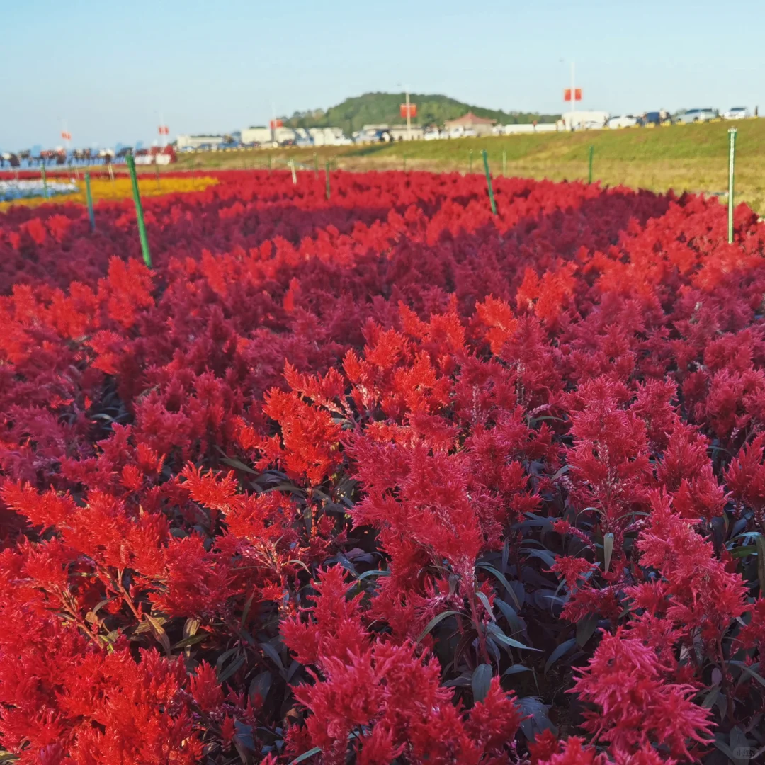 汕头｜“两大盛会”汕头国际会展中心
