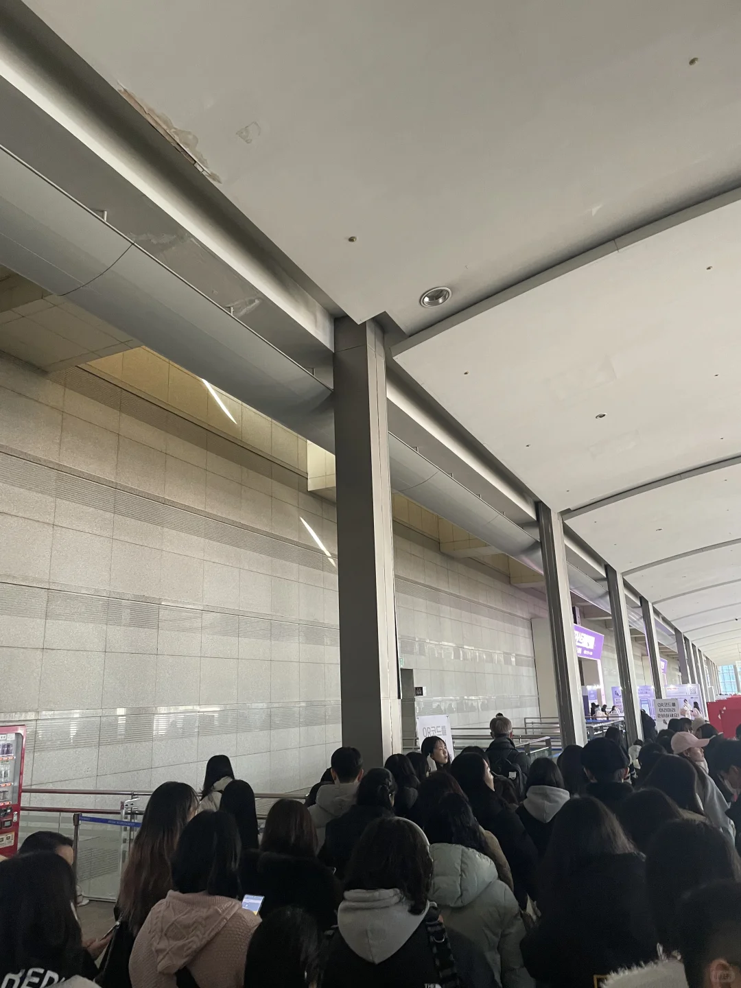 韩国文创震惊到我了