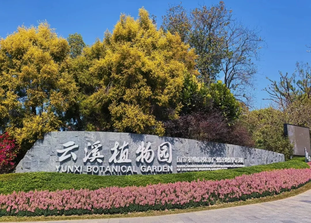 新春免费游云溪植物园