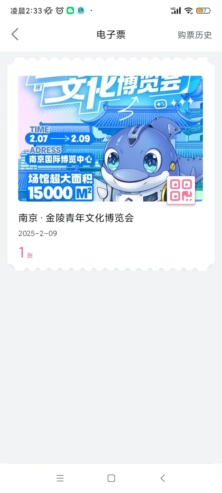 『出』南京金陵青年文化博览会门票