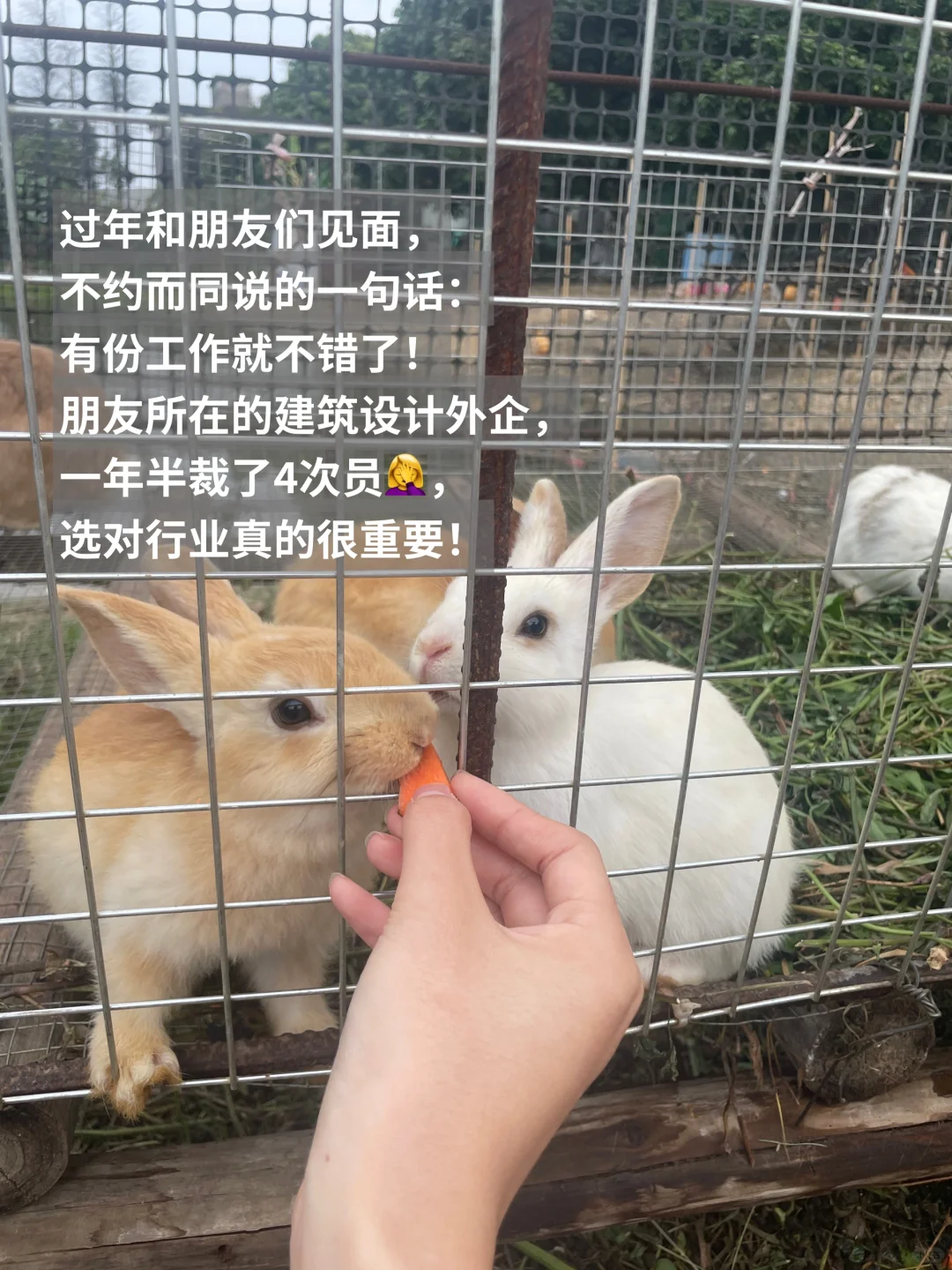 真的建议文科生多看看新兴行业