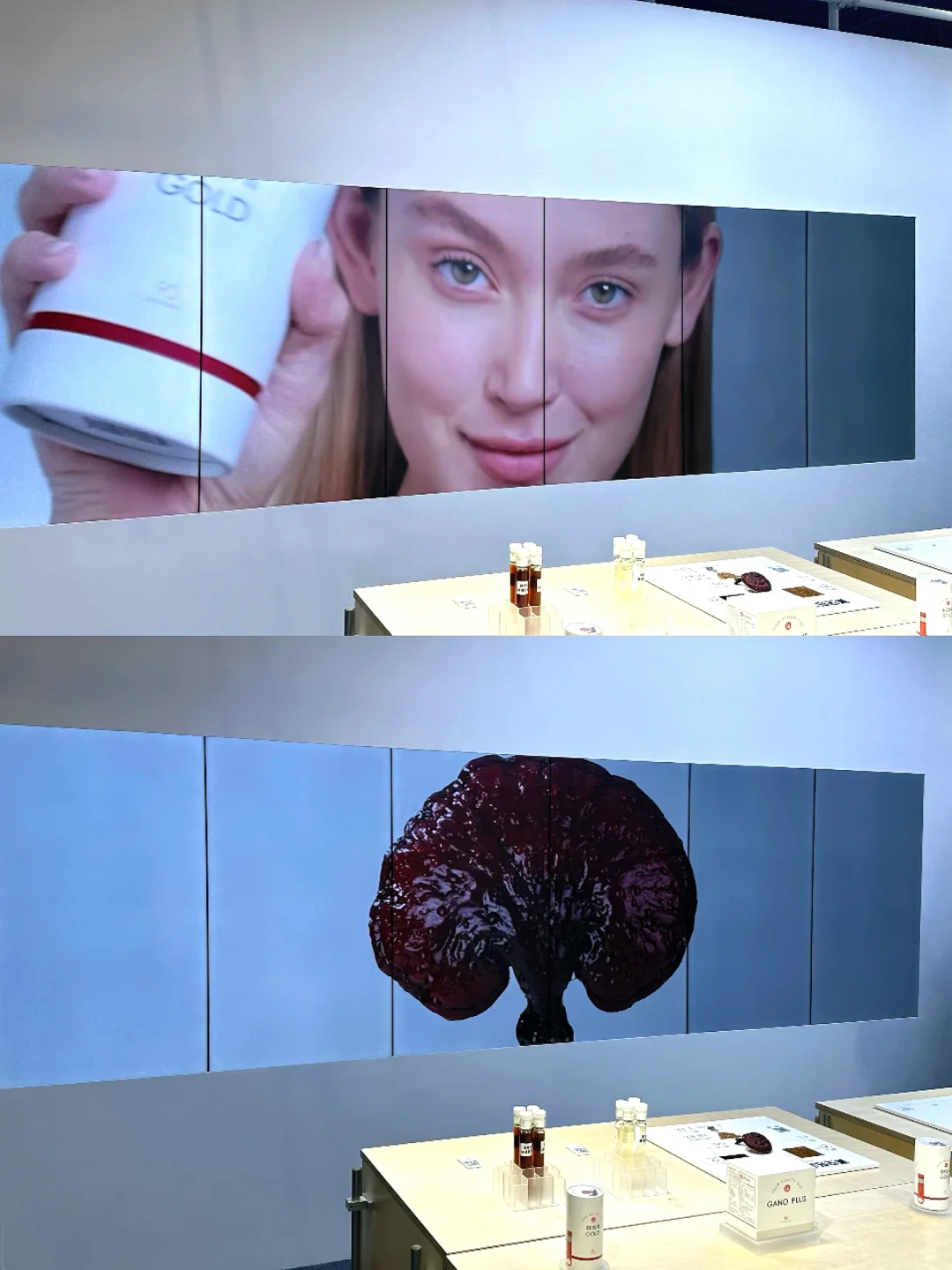 上海第七届进博会，我来啦❗️