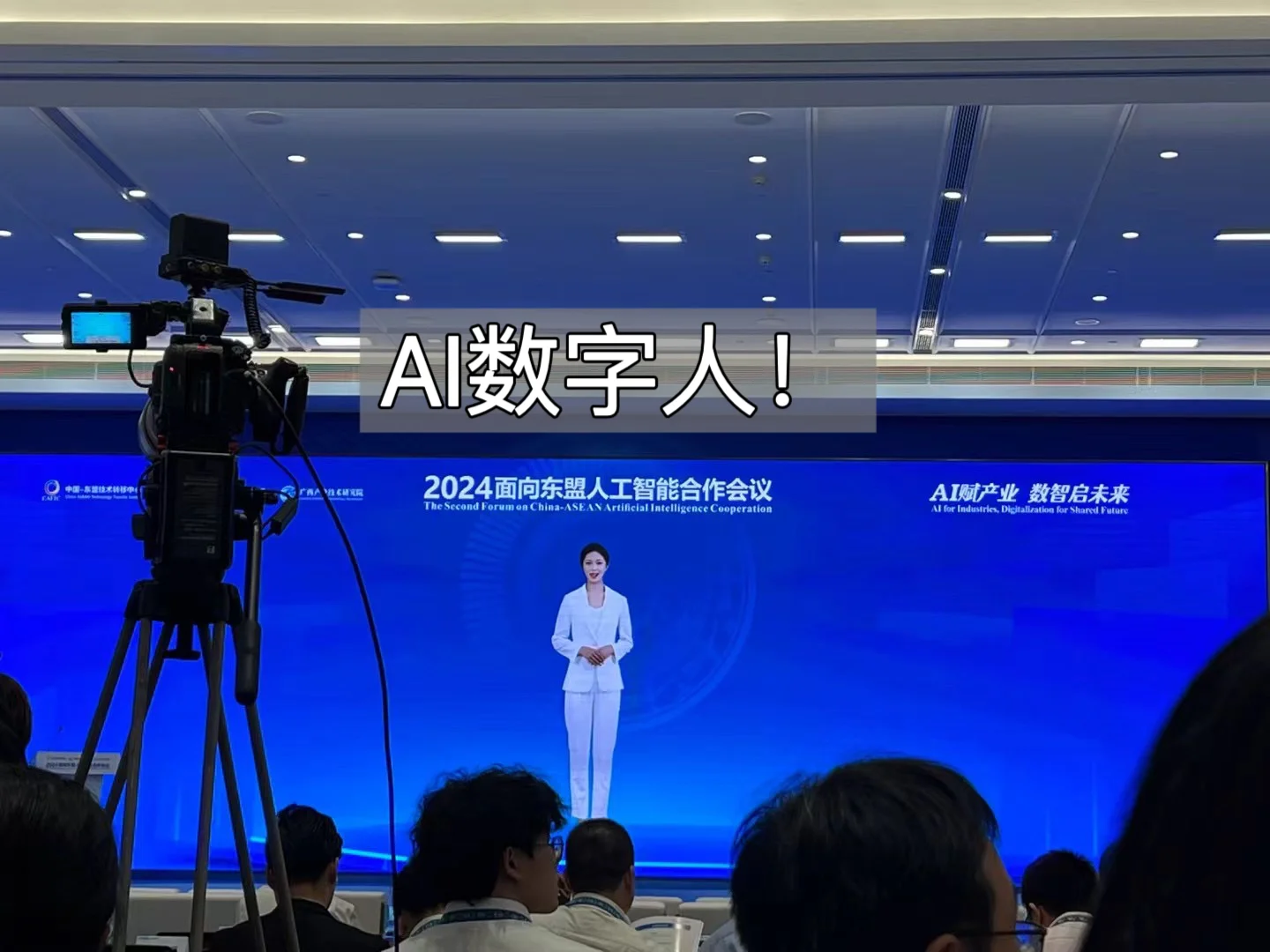 第二十一届中国东盟博览会！