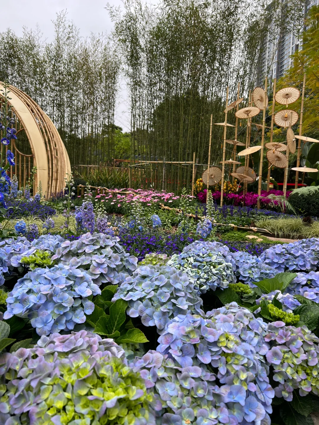 广州绿野仙踪！园林博览会太美啦！