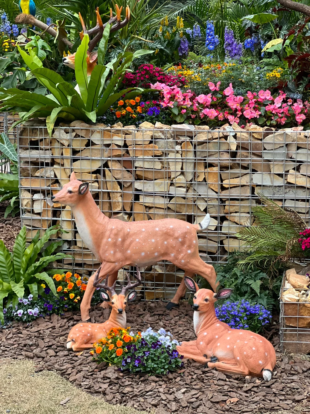 广州绿野仙踪！园林博览会太美啦！