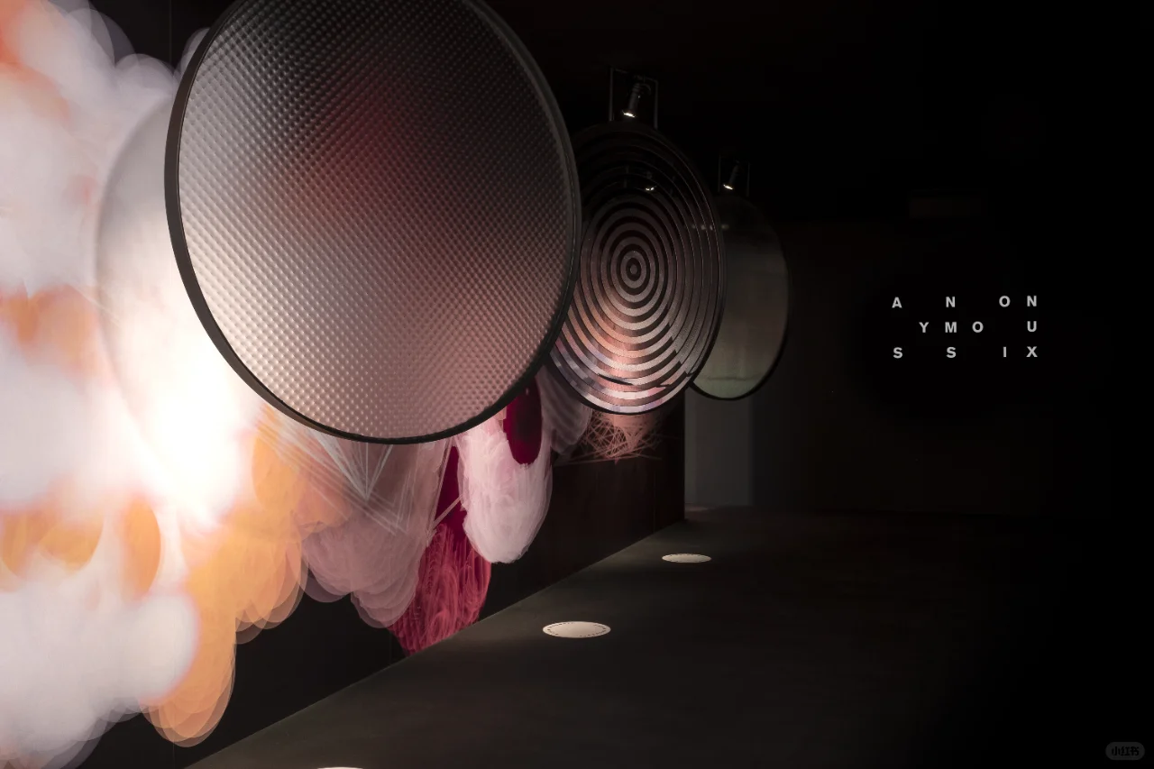 比利时Instagram博览会 -《匿名六号》
