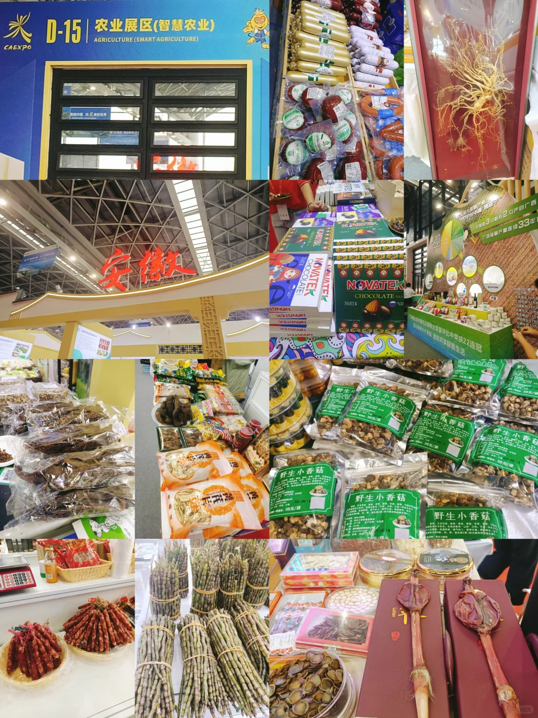 东盟博览会，逛不完根本逛不完！？