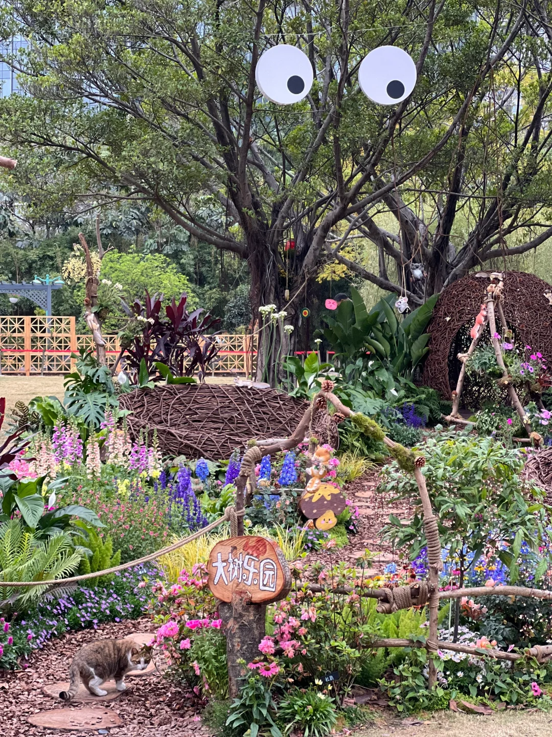 广州绿野仙踪！园林博览会太美啦！