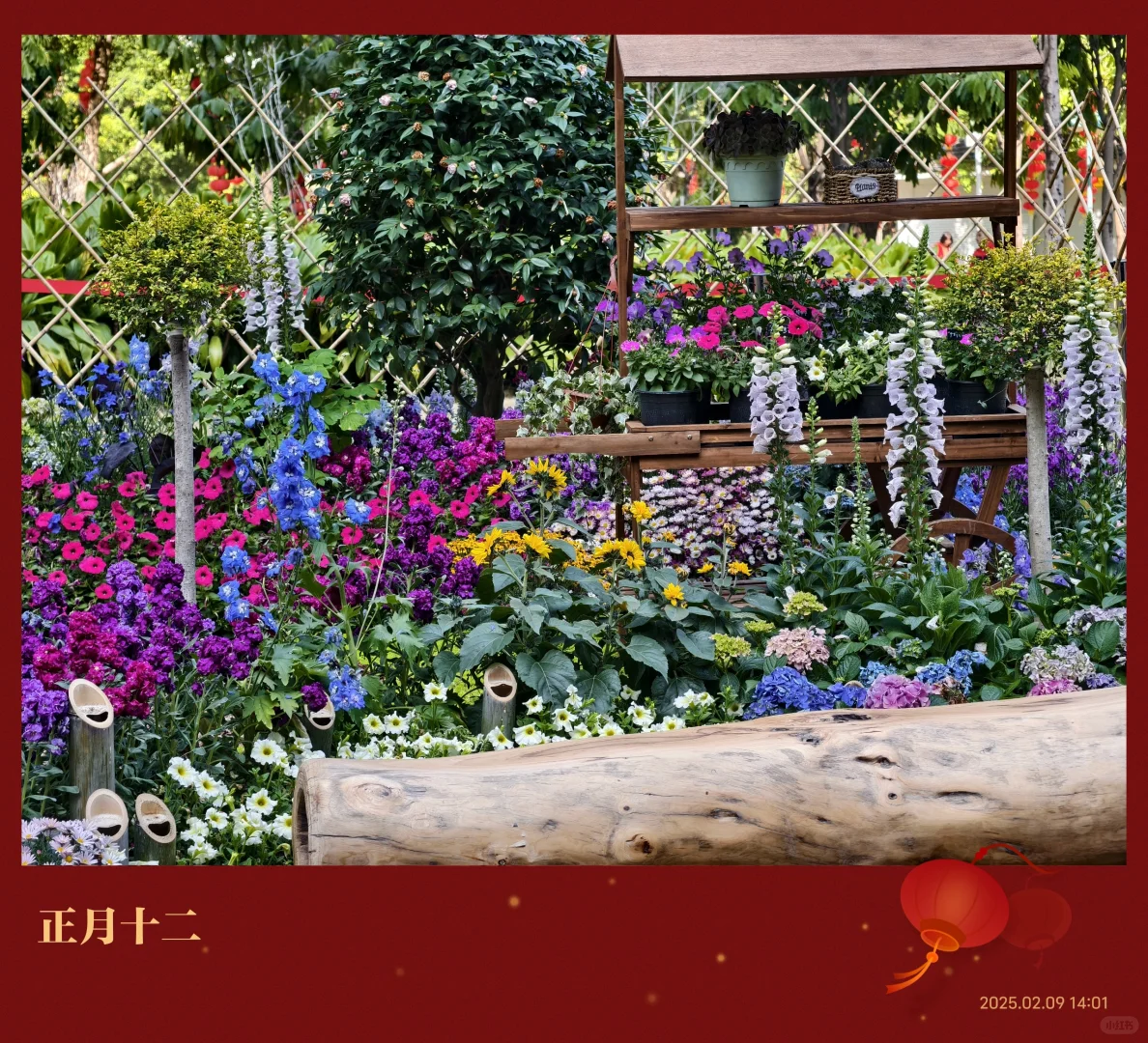 广州园林博览会~珠江公园