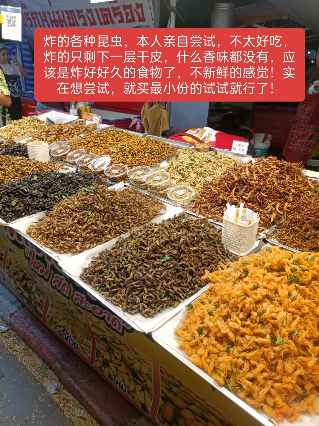 曼谷本土大型集会2025年农业博览会时间表