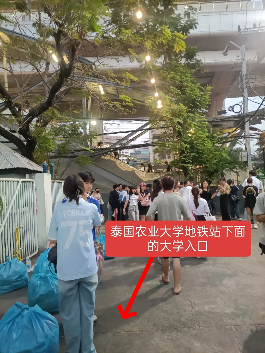 曼谷本土大型集会2025年农业博览会时间表