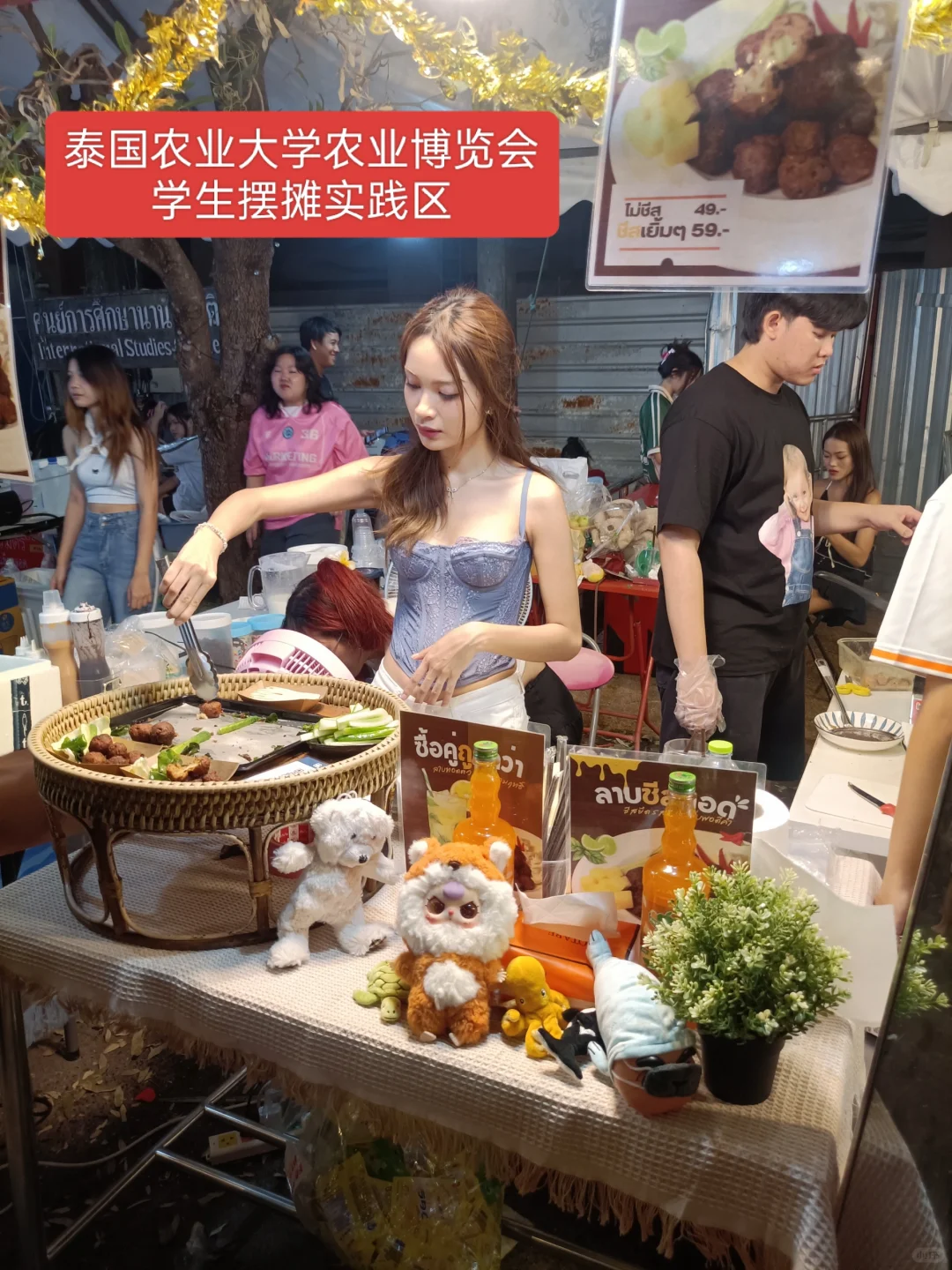 曼谷本土大型集会2025年农业博览会时间表