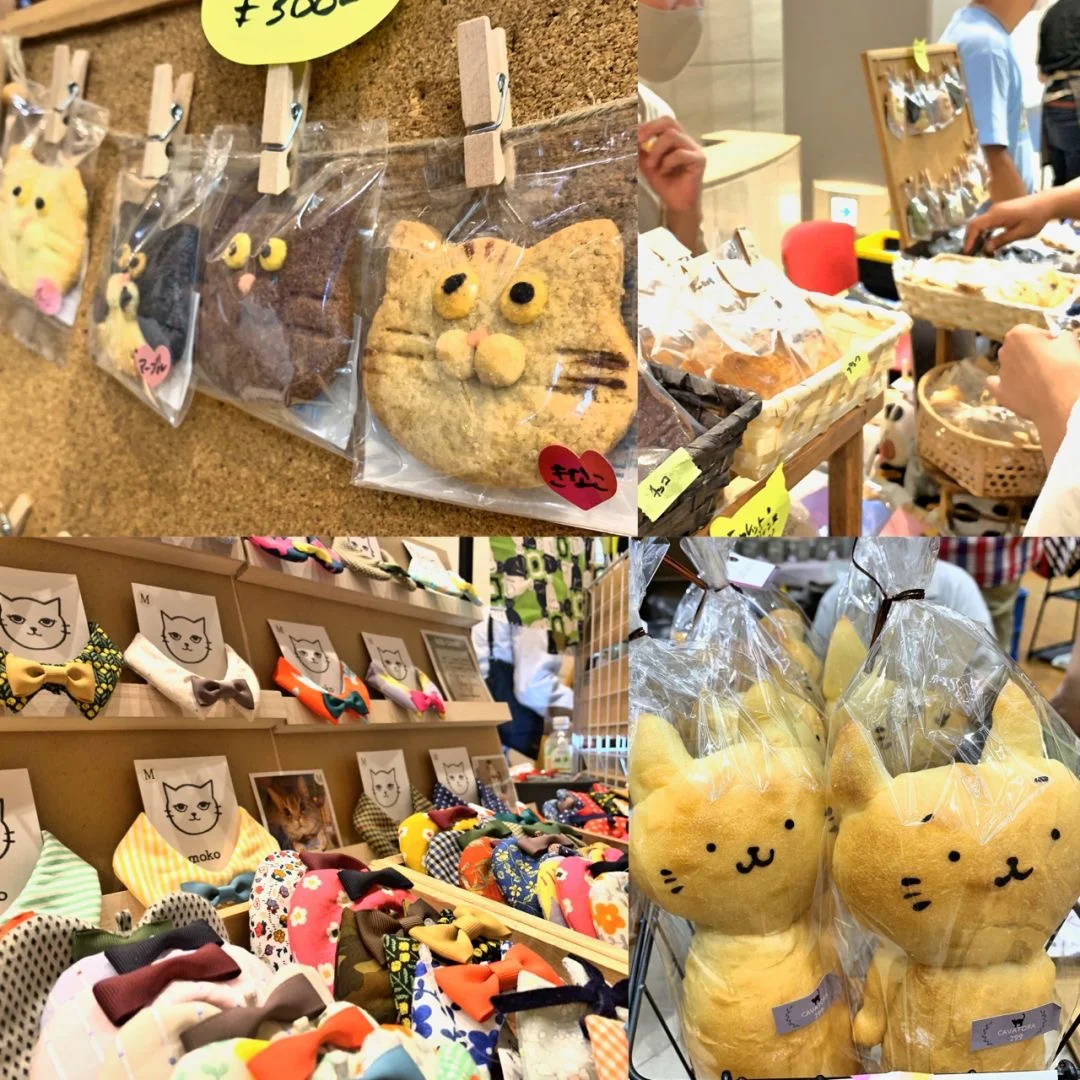 大阪｜猫にゃんこ博覧会2025??✨
