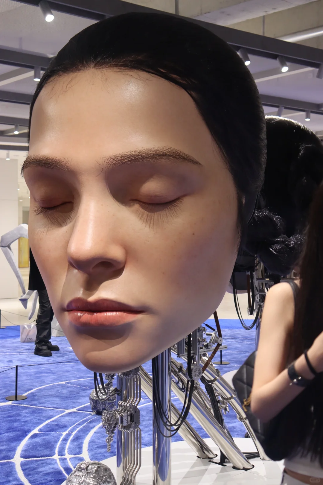 千万不要上四楼 会有恐怖的事情发生