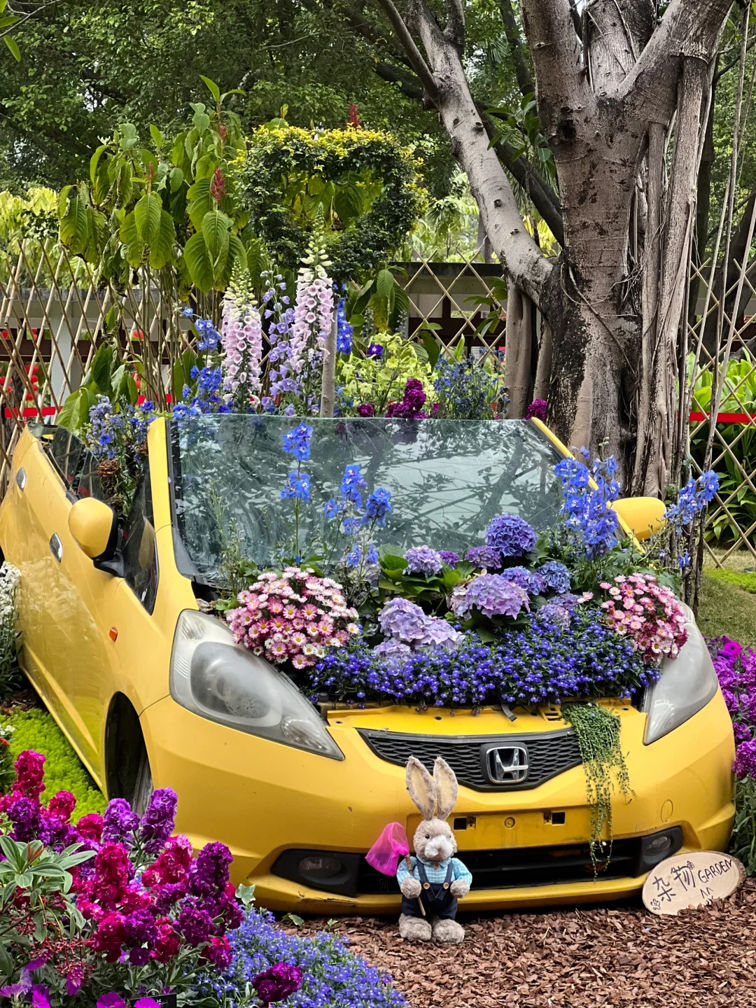 广州绿野仙踪！园林博览会太美啦！