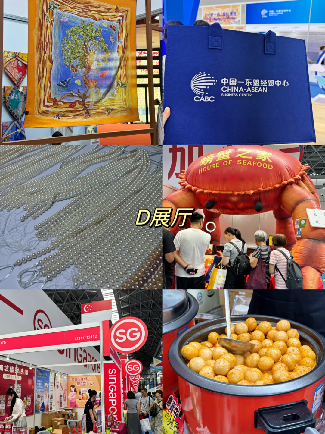 第一次逛东盟博览会总结到的一些小攻略！