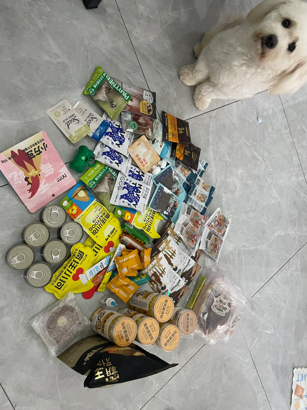 世界宠物博览会实在拿不下了