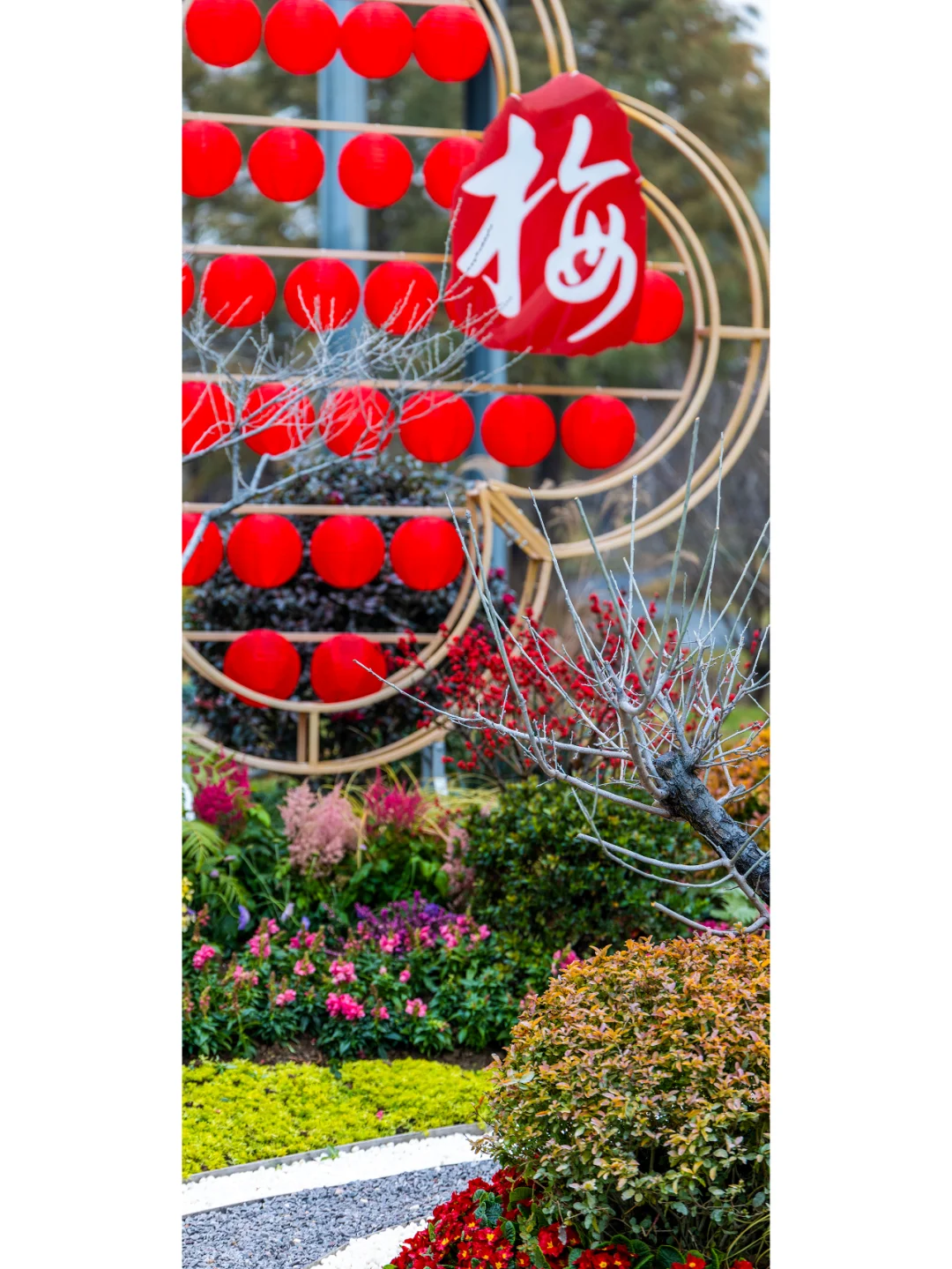 第十九届中国梅花蜡梅展览会