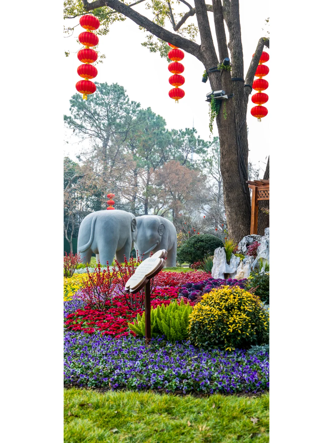 第十九届中国梅花蜡梅展览会