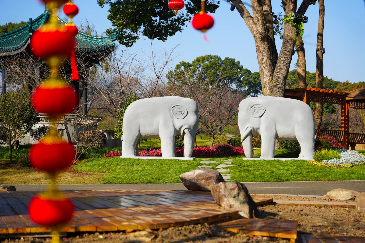 第十九届中国梅花蜡梅展览会