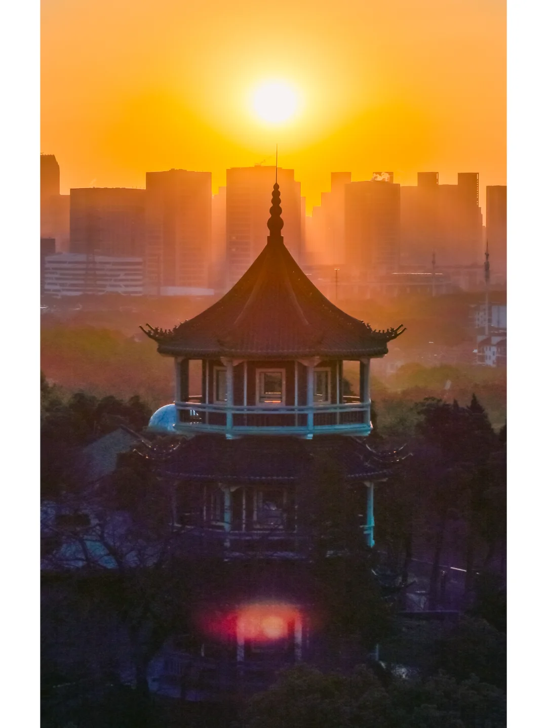 第十九届中国梅花蜡梅展览会