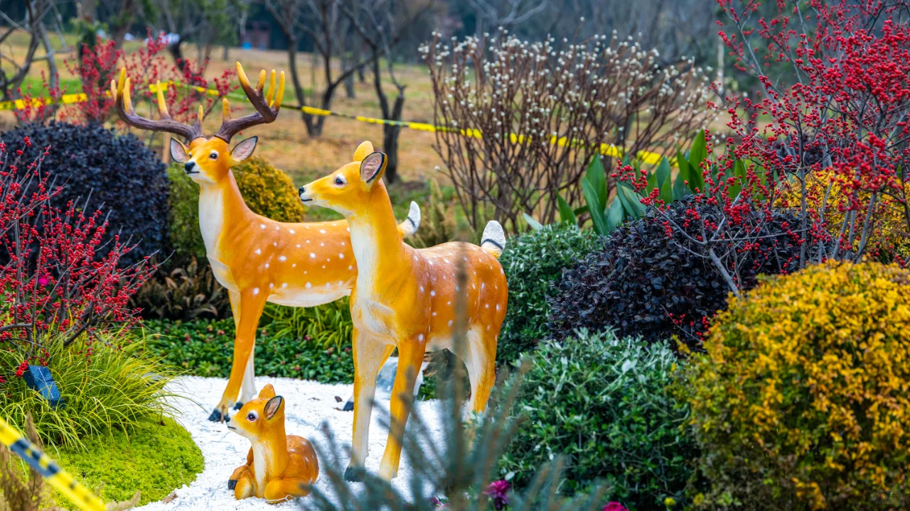 第十九届中国梅花蜡梅展览会