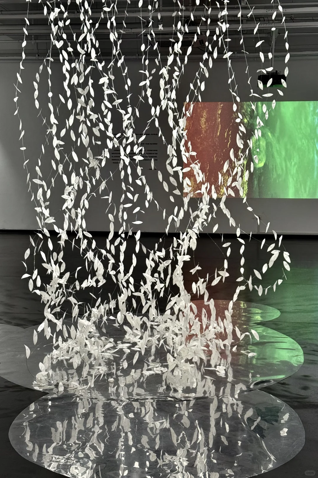 南昌｜令人惊艳的艺术展！2展连看！太好拍了！