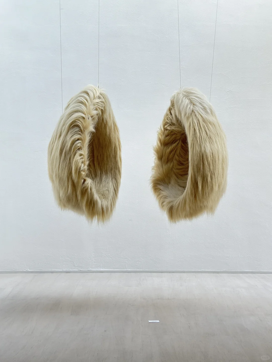 北京1、2月FREE展,必看有趣的小众展合集!