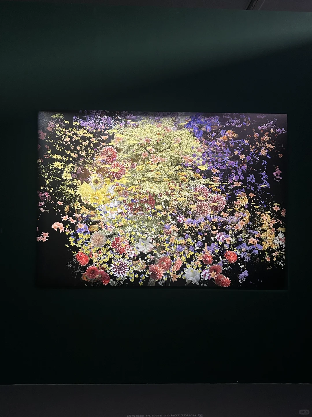 深圳展览：“吉维尼”莫奈花园的紫色浪漫?