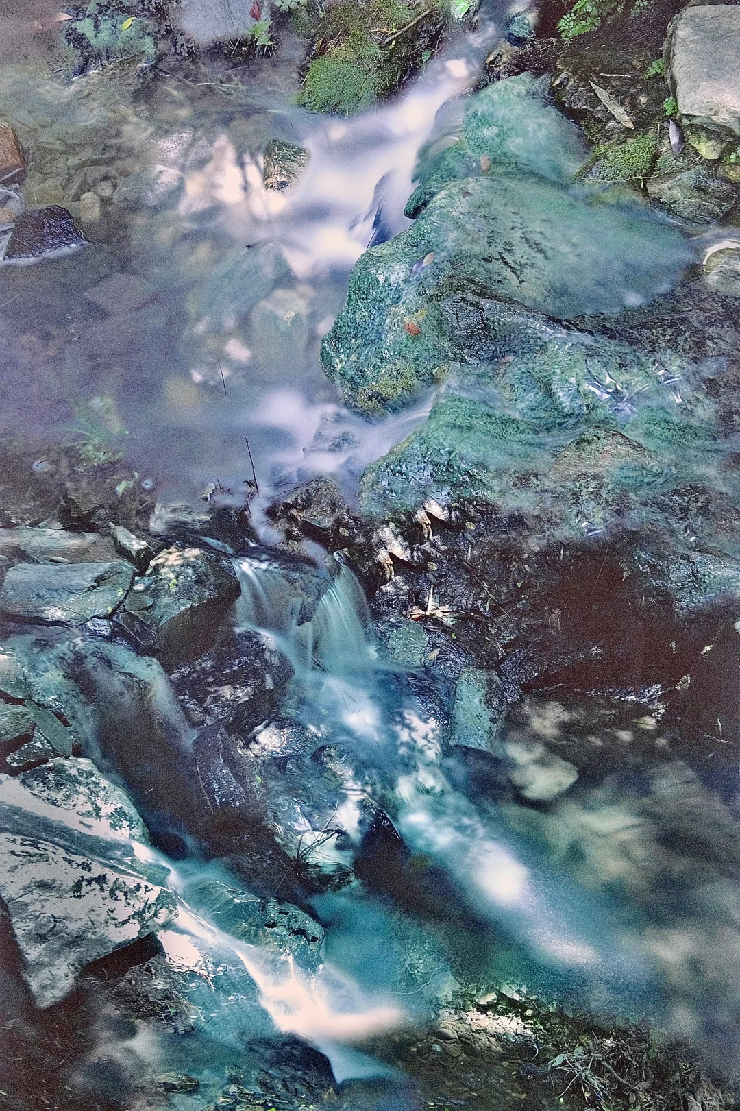 南昌｜令人惊艳的艺术展！2展连看！太好拍了！