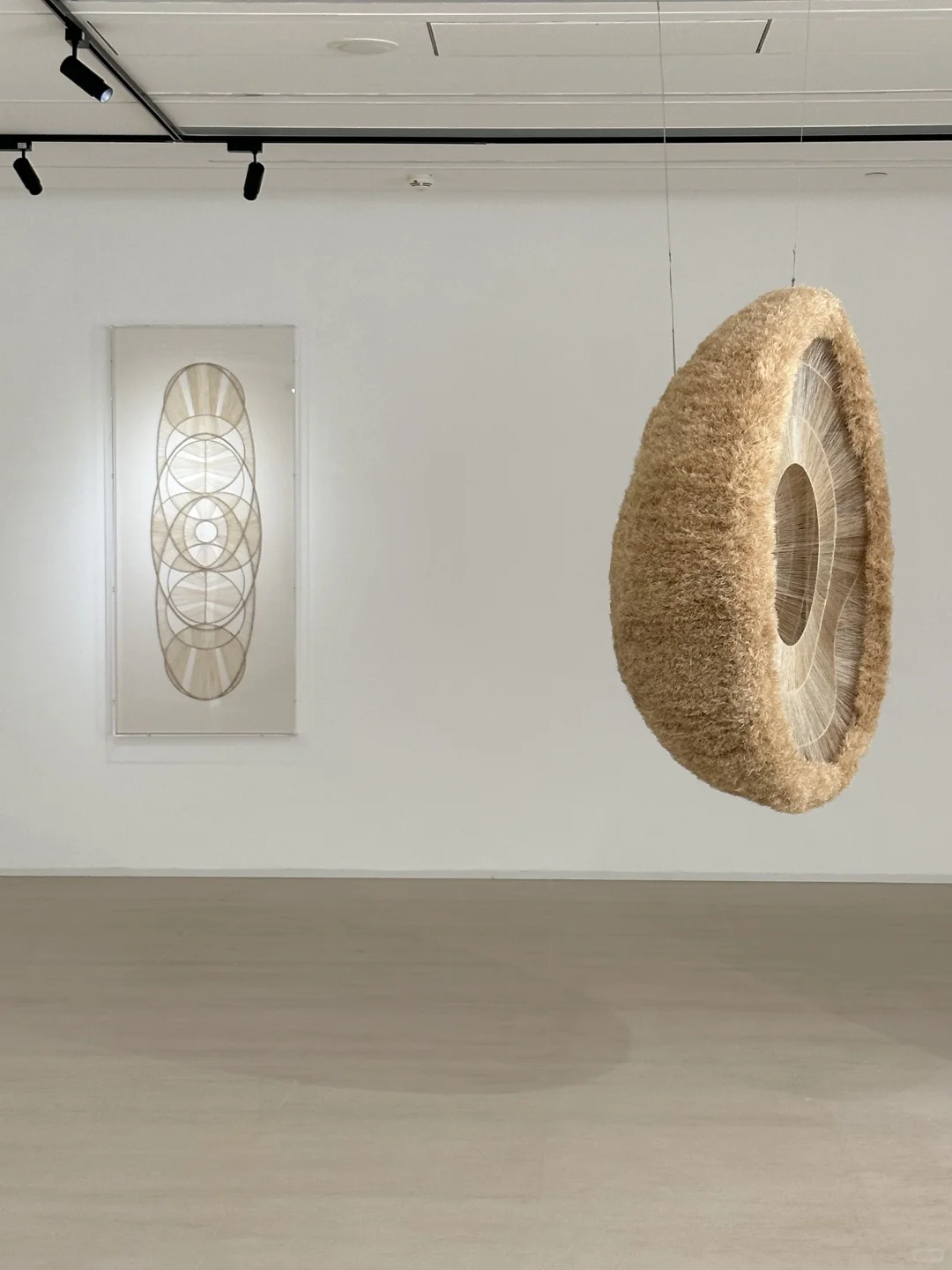 北京1、2月FREE展,必看有趣的小众展合集!