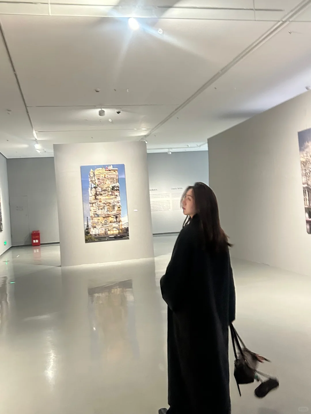 深圳展览：“吉维尼”莫奈花园的紫色浪漫?