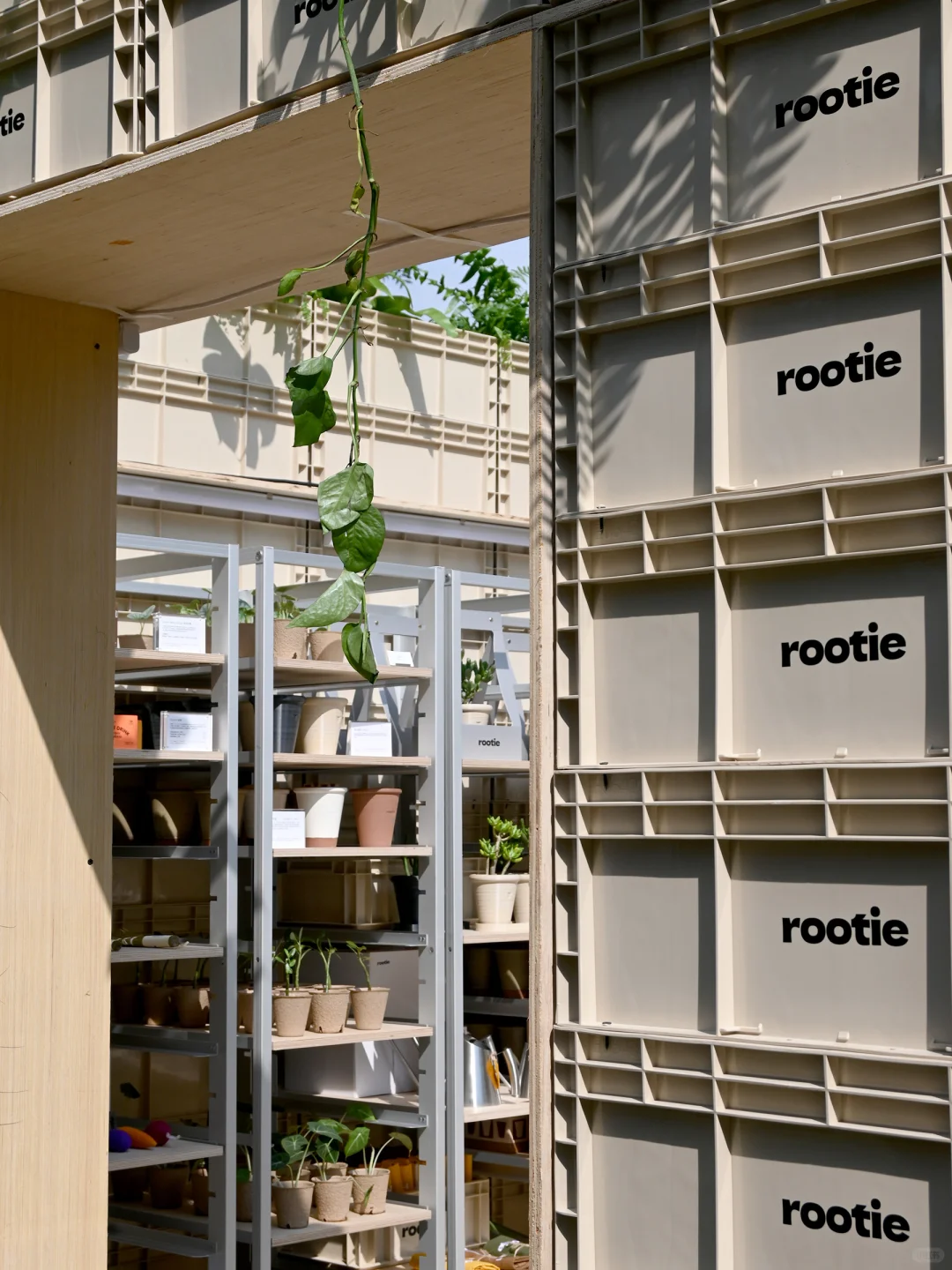 活动回顾｜用几百个箱子把展位堆起来了