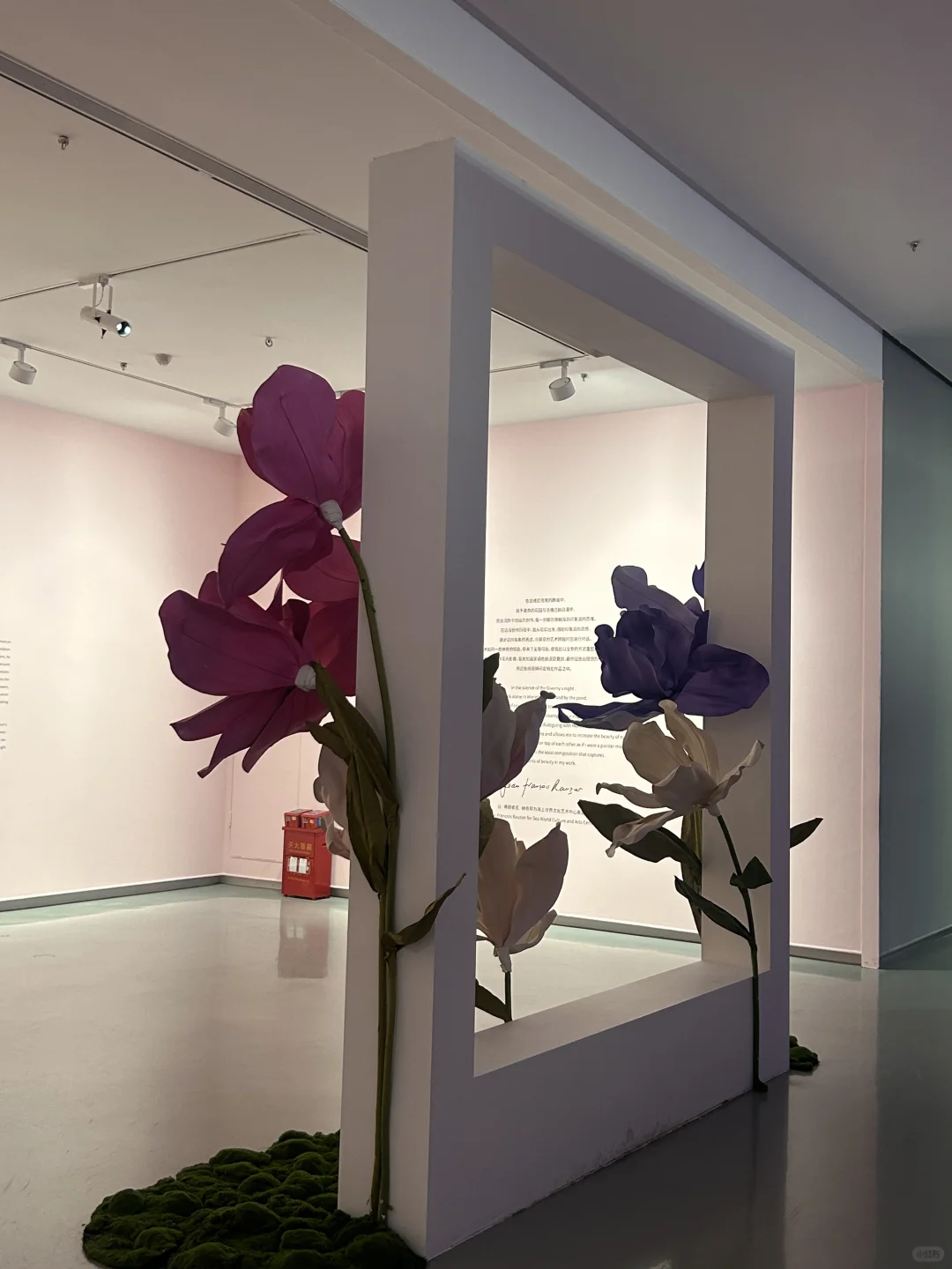 深圳展览：“吉维尼”莫奈花园的紫色浪漫?