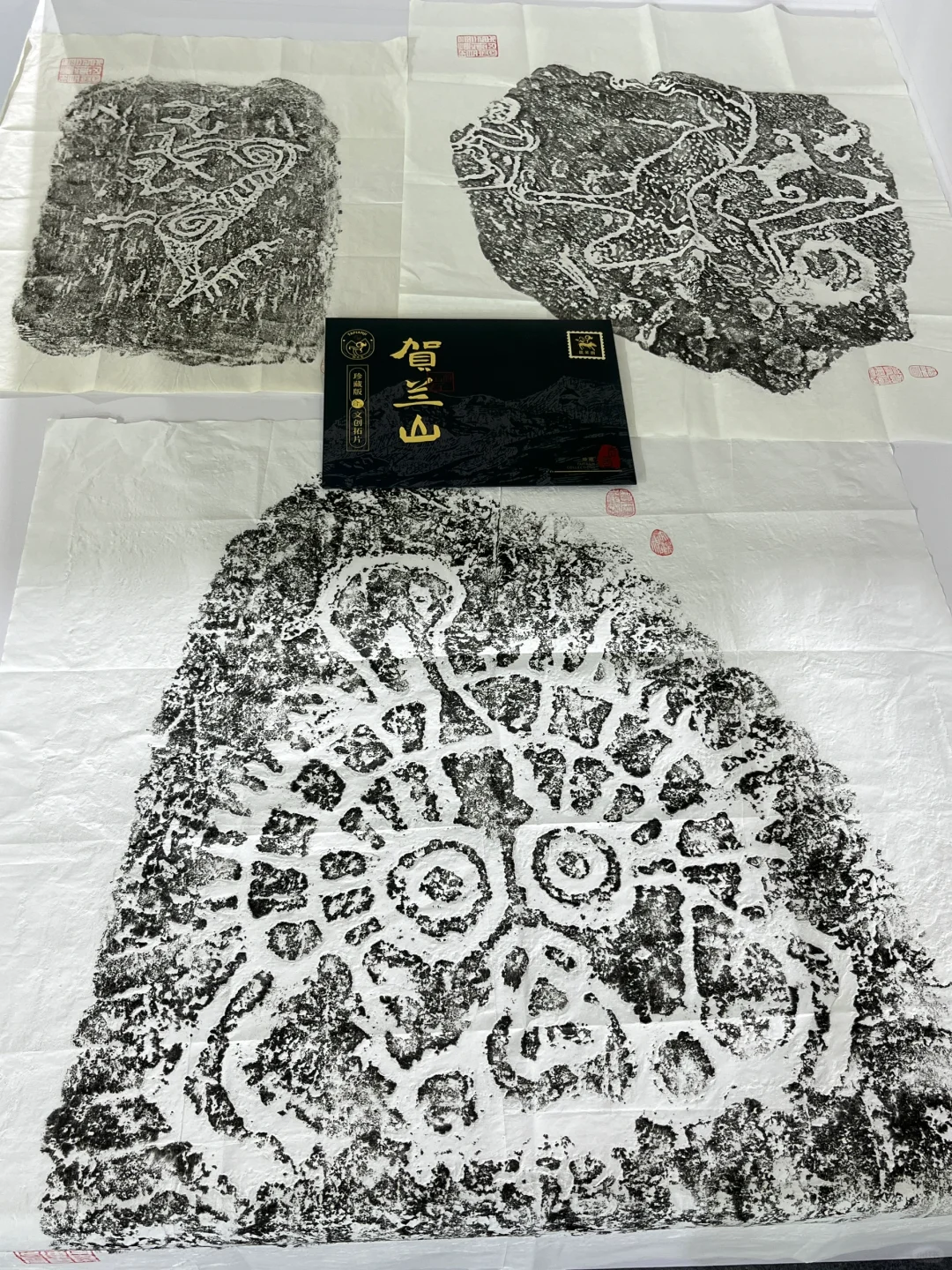 银川｜葡萄酒博览会?最全攻略 带你美美逛❗️