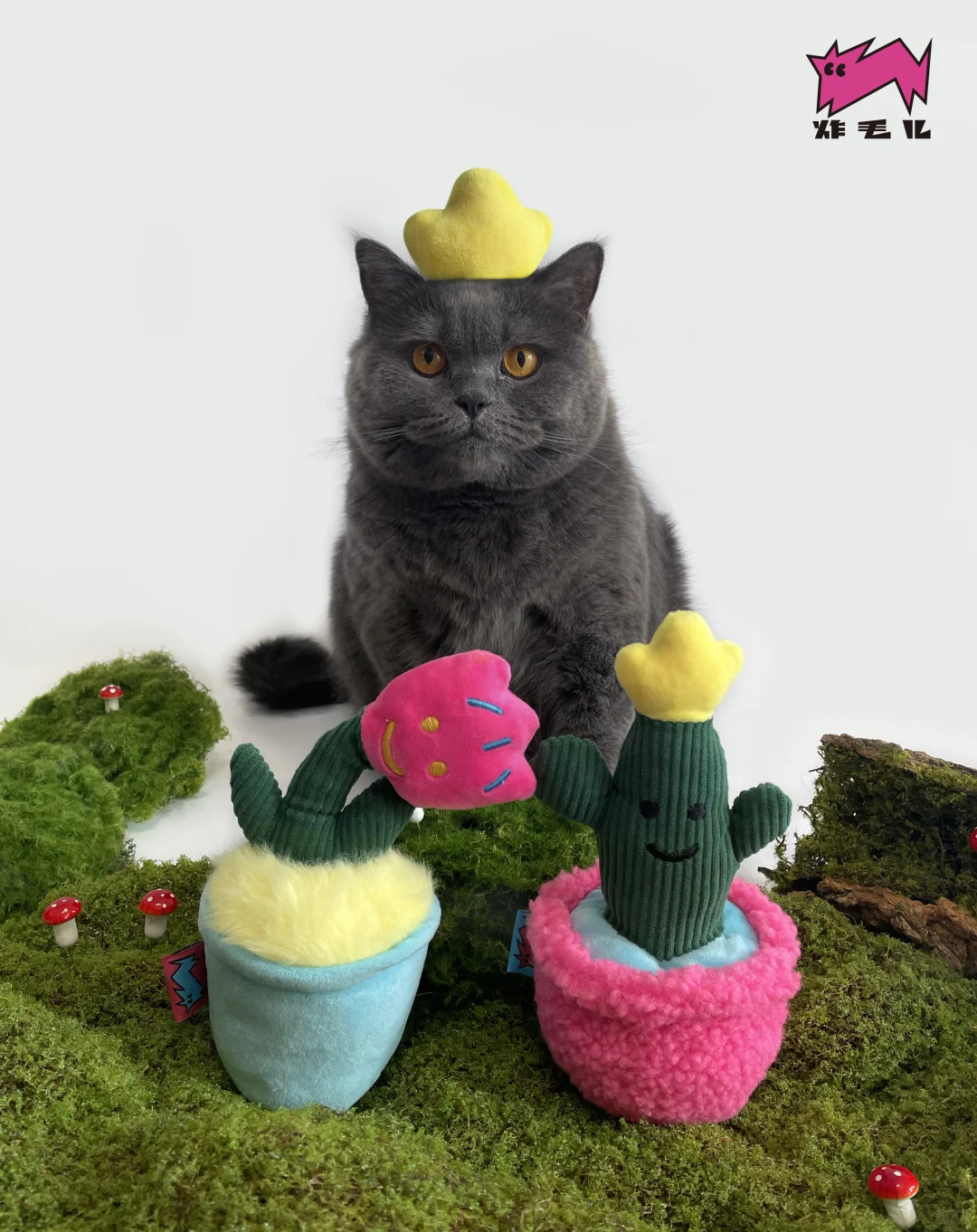 ???！炸毛儿入驻京宠展啦！！