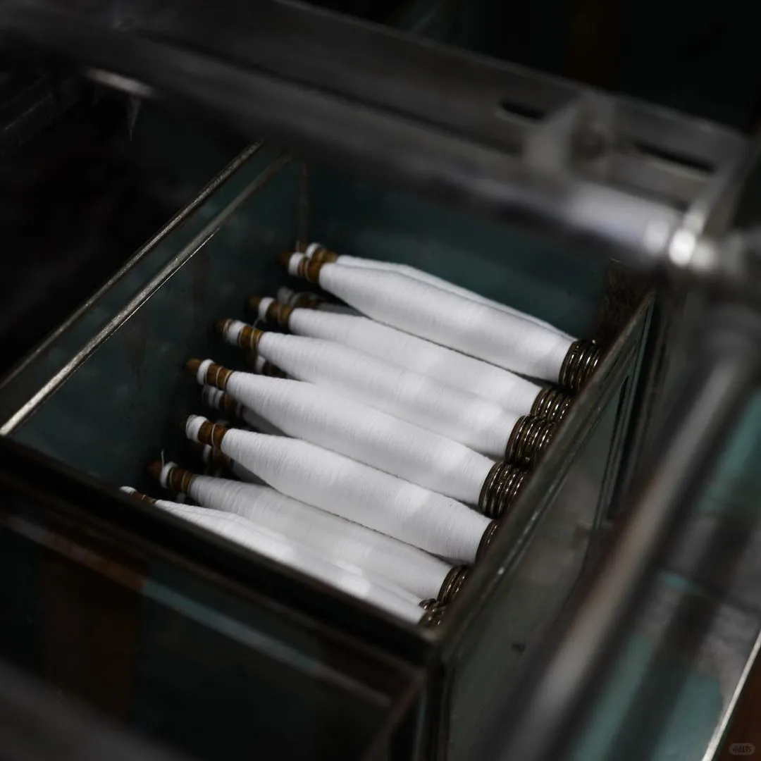 上海国展约起来！?