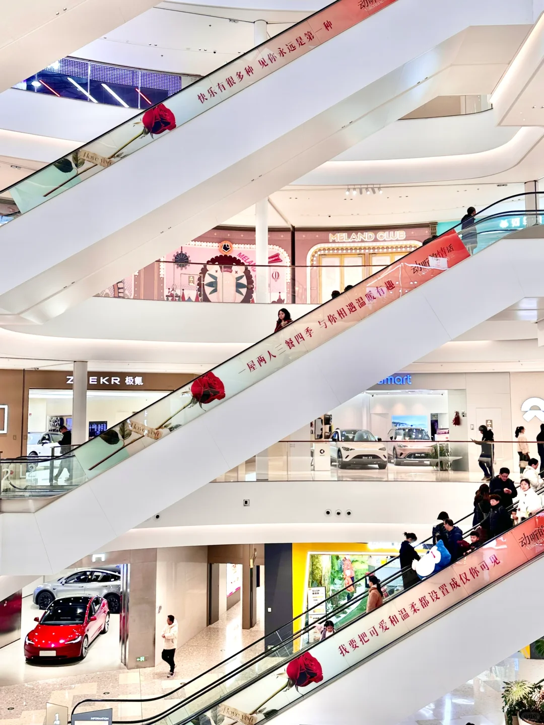 南京近期坠坠坠浪漫的展览！！…0元