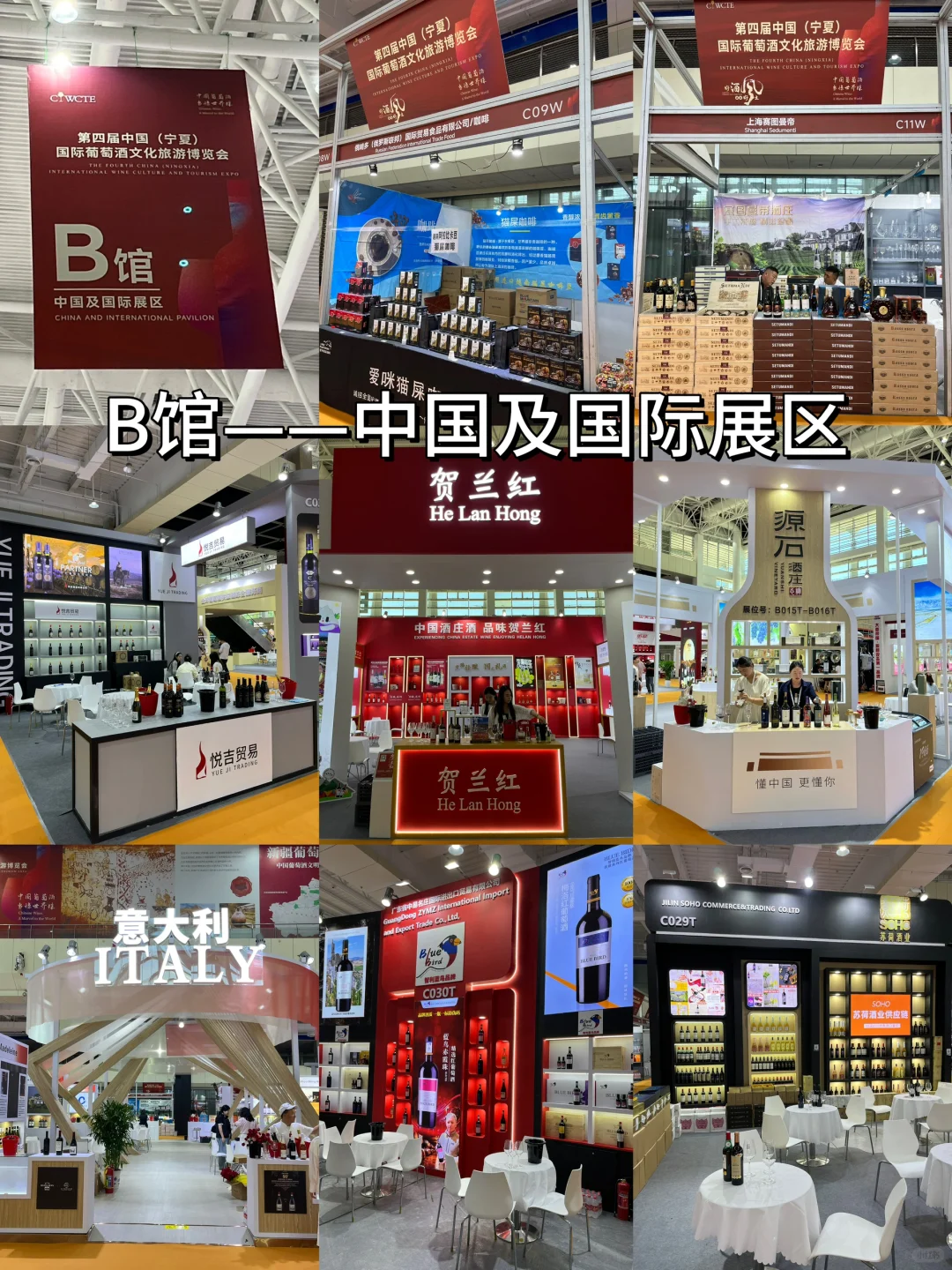 银川｜葡萄酒博览会?最全攻略 带你美美逛❗️