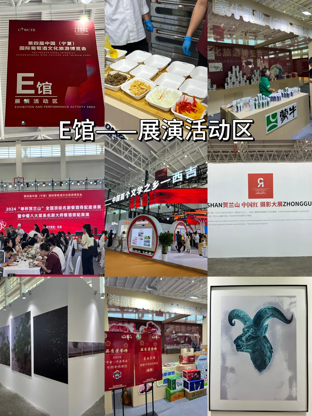 银川｜葡萄酒博览会?最全攻略 带你美美逛❗️