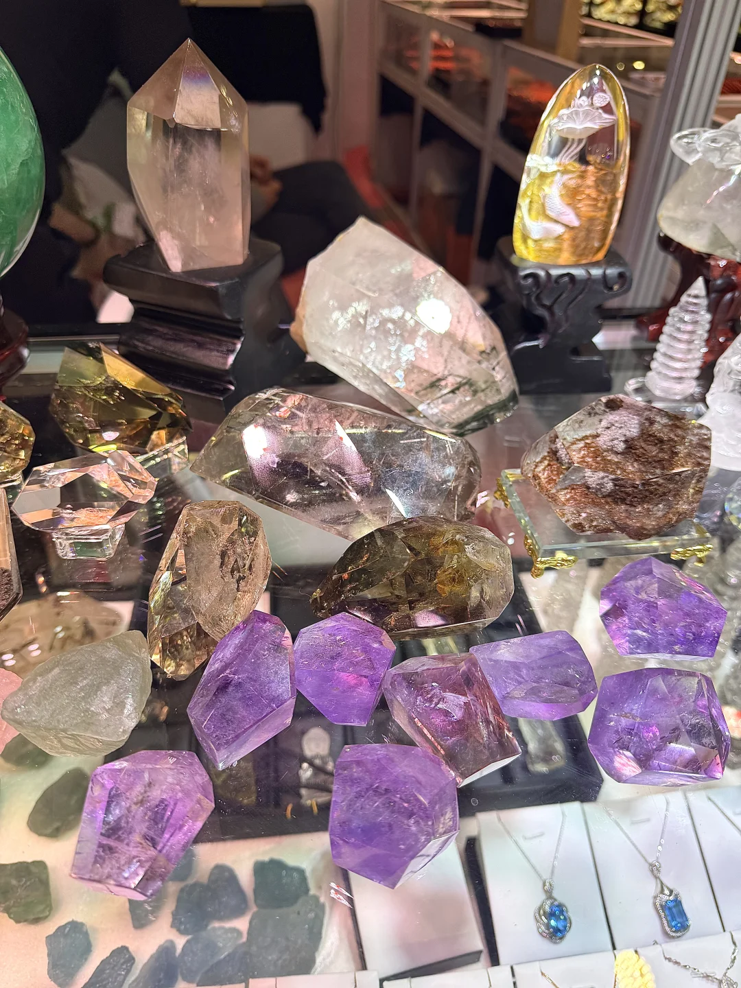 上海免费看展 | ?邂逅珠宝绮丽之美✨