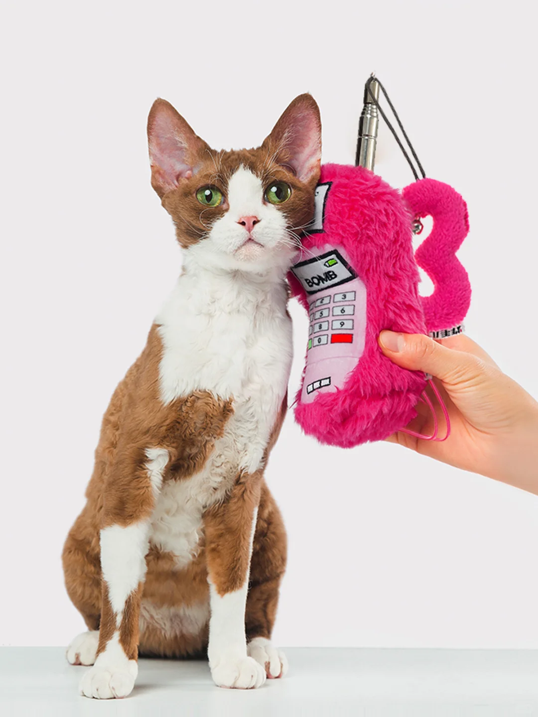 ???！炸毛儿入驻京宠展啦！！