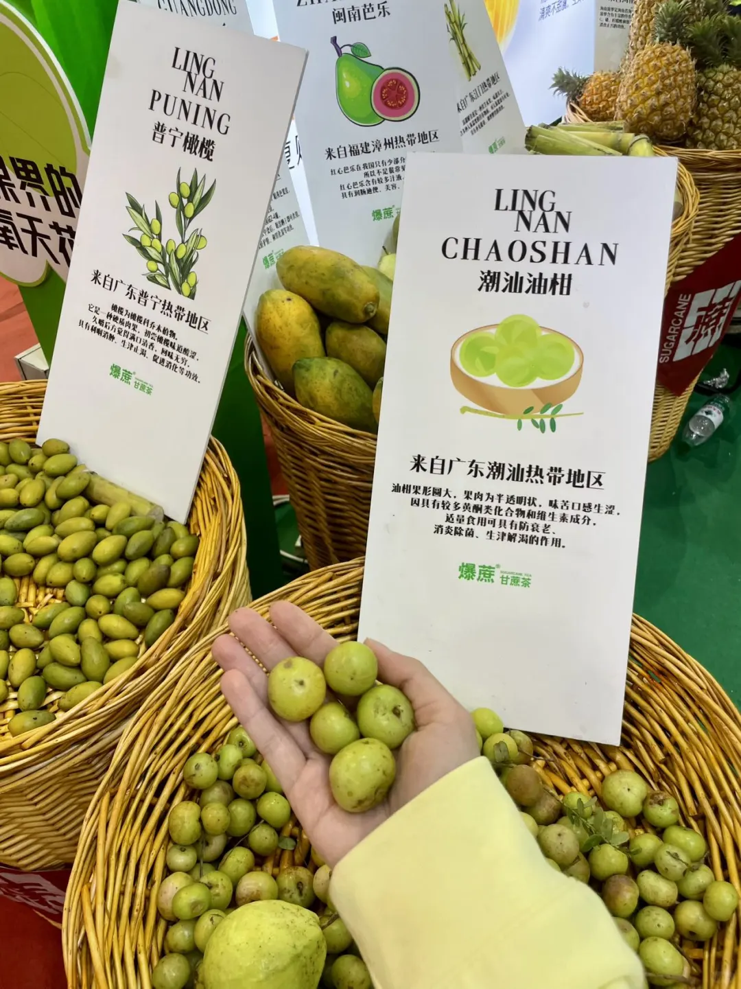 琶洲展会?估计会成为下一届岭南茶饮顶流……