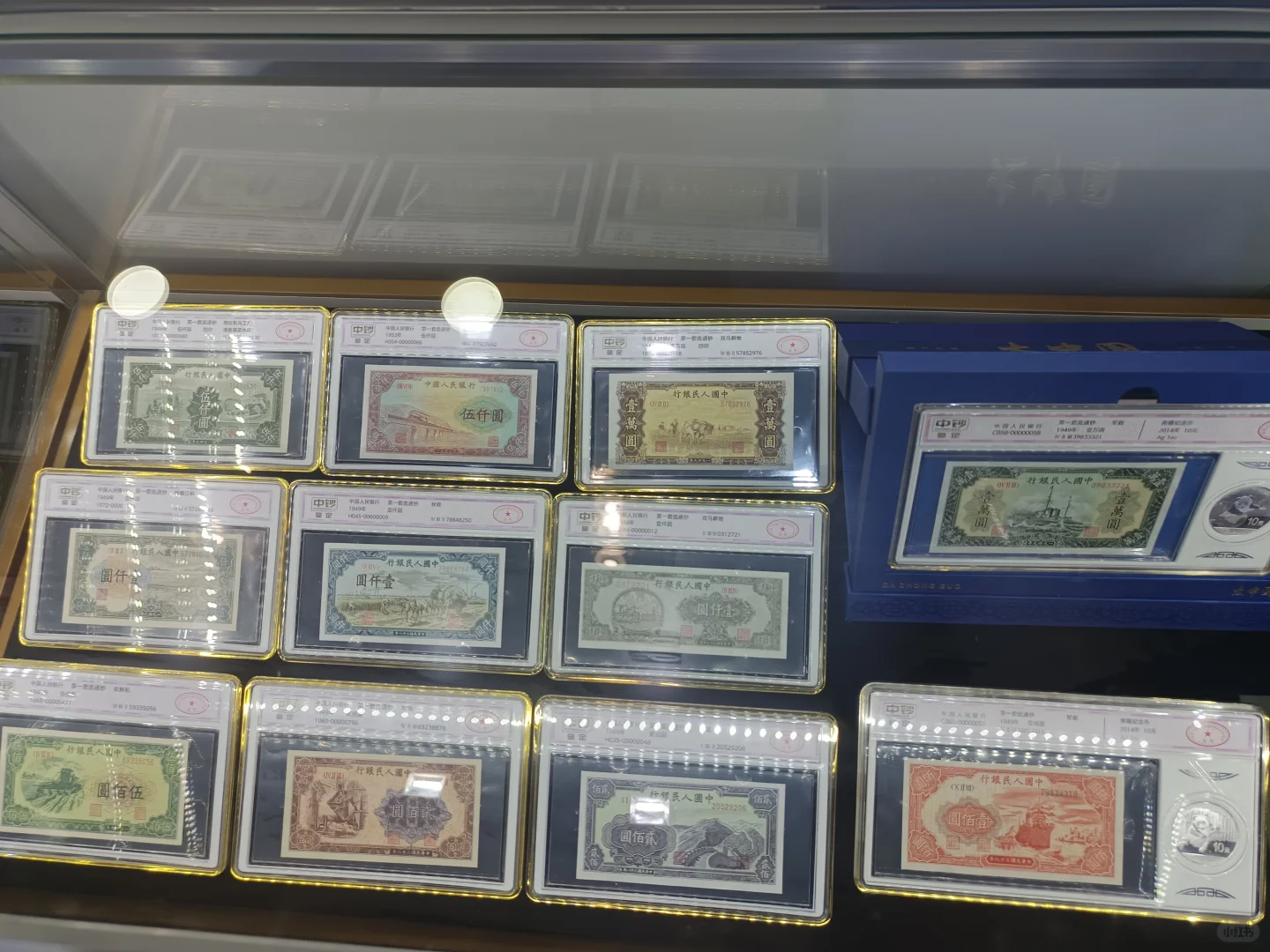 2024钱币博览会，你还不会怎么薅羊毛吗？