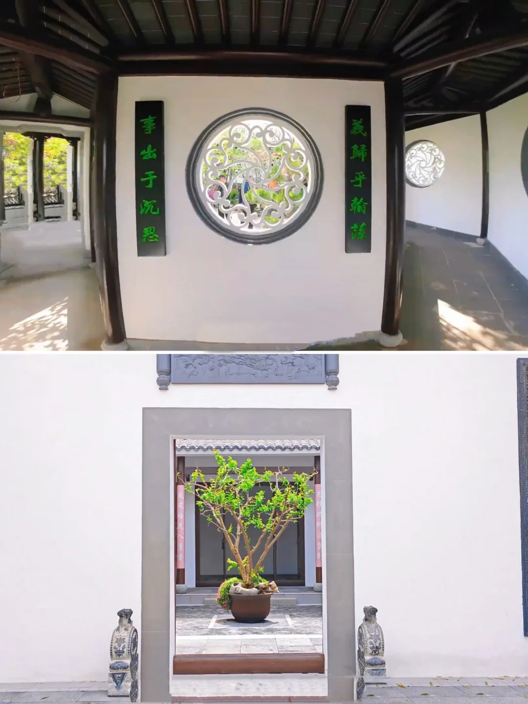 成都世园会‼️会惩罚每一个不做攻略的人