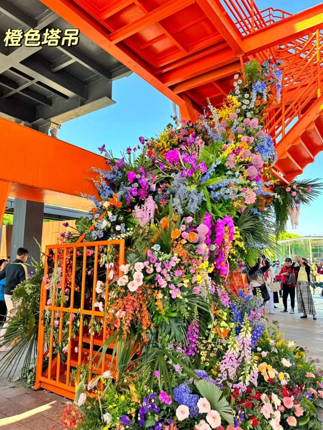 上海冲❗️2025国际花展免费预约攻略?