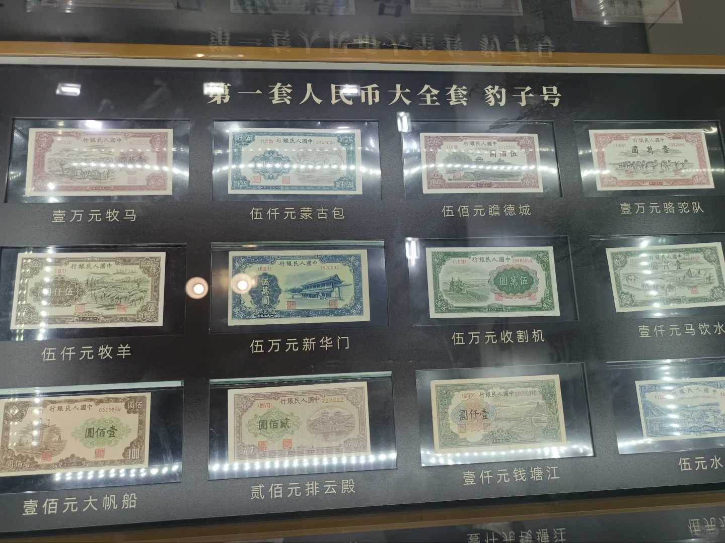 2024钱币博览会，你还不会怎么薅羊毛吗？