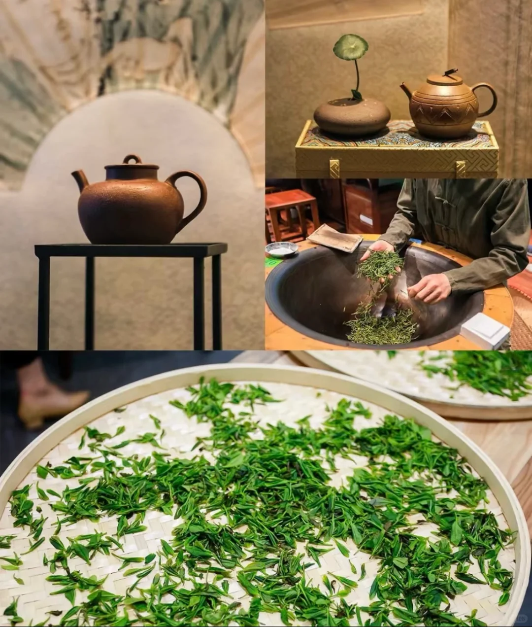 ?✨【茶博会，茶香余韵悠长】✨
